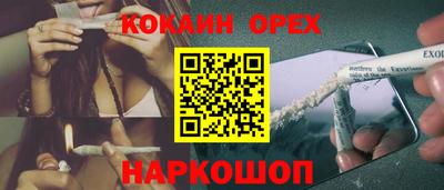 jwh Новозыбков