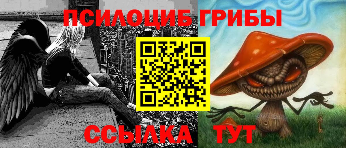 Галлюциногенные грибы прущие грибы Хасавюрт
